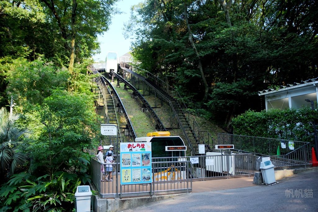 DSC_4700_副本 DSC_4700_副本