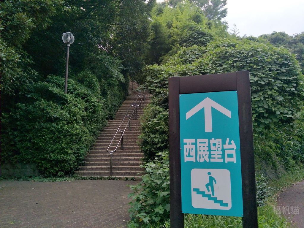 IMG20180716175142_副本 IMG20180716175142_副本