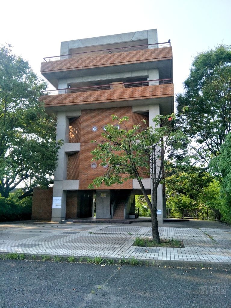 IMG20180716161227_副本 IMG20180716161227_副本
