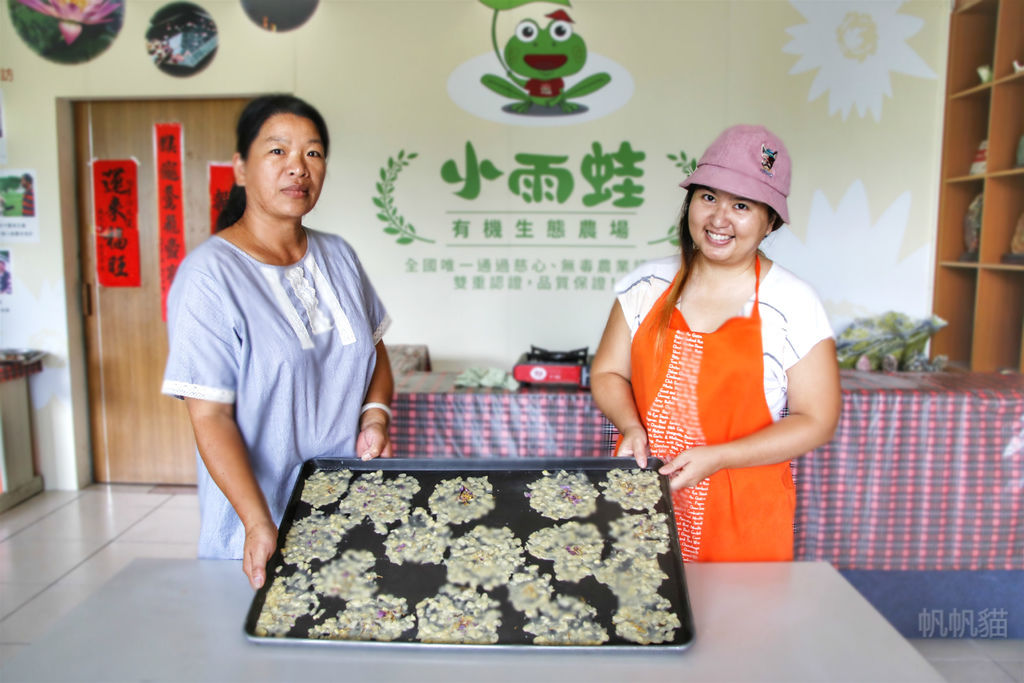 【花蓮壽豐 旅遊】豐山社區 做麵疙瘩 蓮花脆餅 鐵牛車導覽體驗一日遊