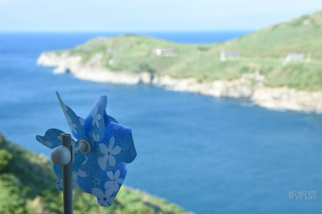 DSC_4223-01_meitu_2 DSC_4223-01_meitu_2