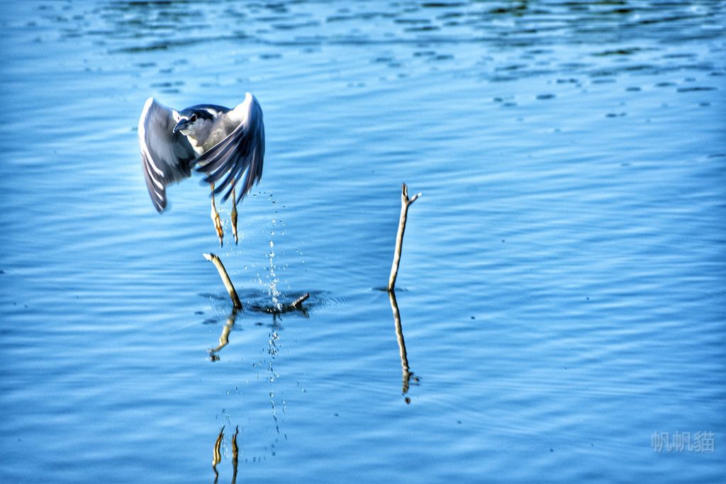DSC_7398-01 DSC_7398-01
