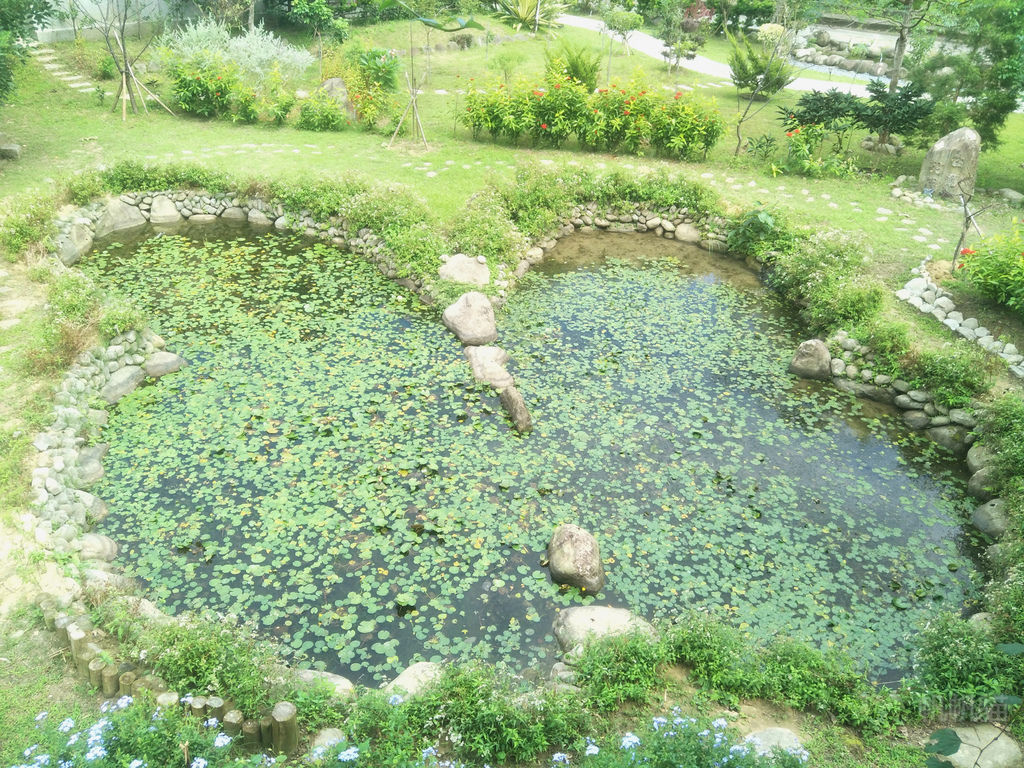 IMG20181015110923_meitu_3 IMG20181015110923_meitu_3
