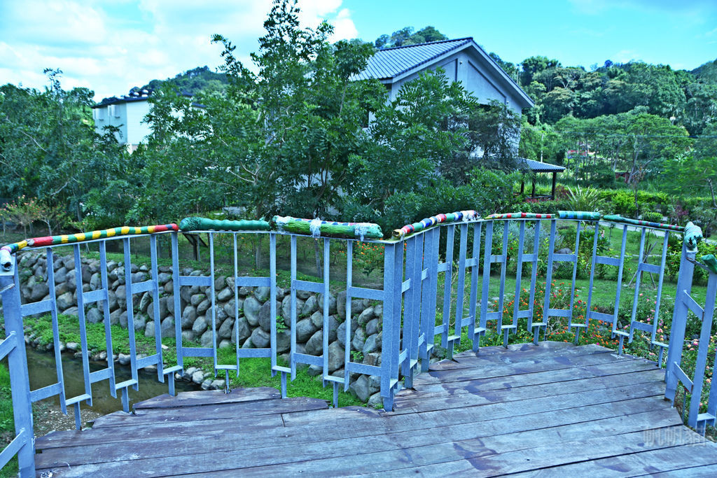 DSC_2200_meitu_1 DSC_2200_meitu_1