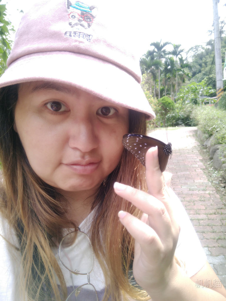 IMG20181015112820_meitu_4 IMG20181015112820_meitu_4