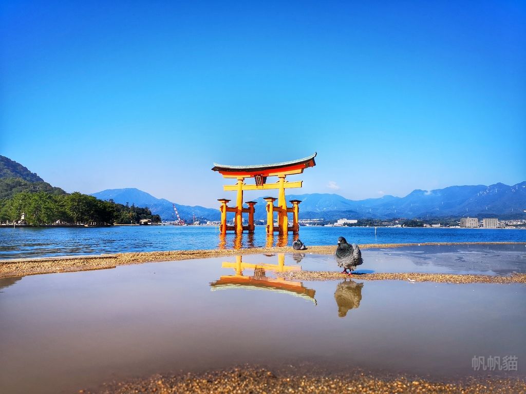 Jr Pass 岡山 廣島 山口地區鐵路周遊券岡山到宮島 嚴島 拍水中大鳥居 欣傳媒 Jr Pass 岡山 廣島 山口地區鐵路周遊券岡山到宮島 嚴島 拍水中大鳥居 欣傳媒