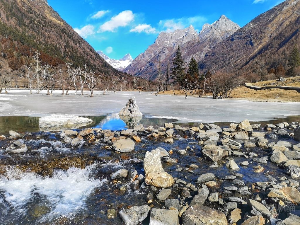 【四川 四姑娘山】雙橋溝景區 躺在雪山下 欣賞冰凍湖上的枯樹奇景