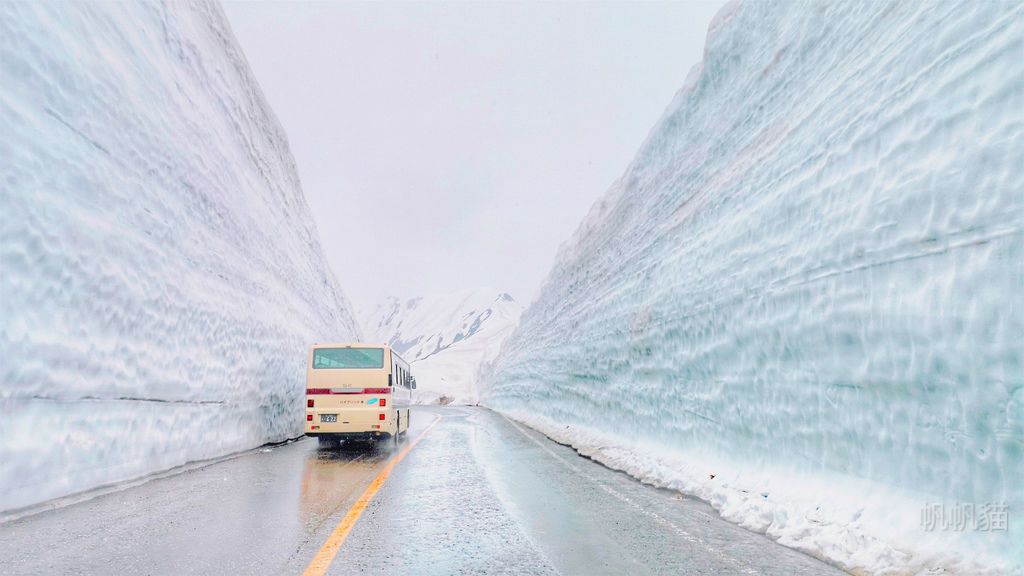 【日本 北陸】立山黑部 雪牆散策 乘坐六種交通工具 一生一定要造訪的景點