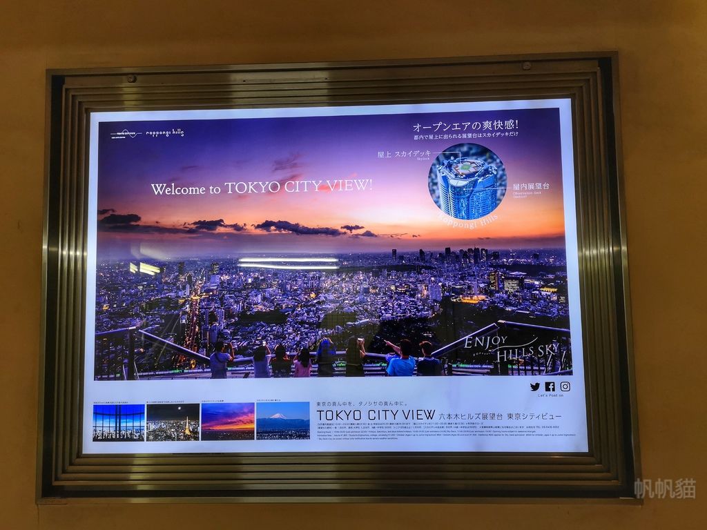 IMG_20190606_181045_1-01