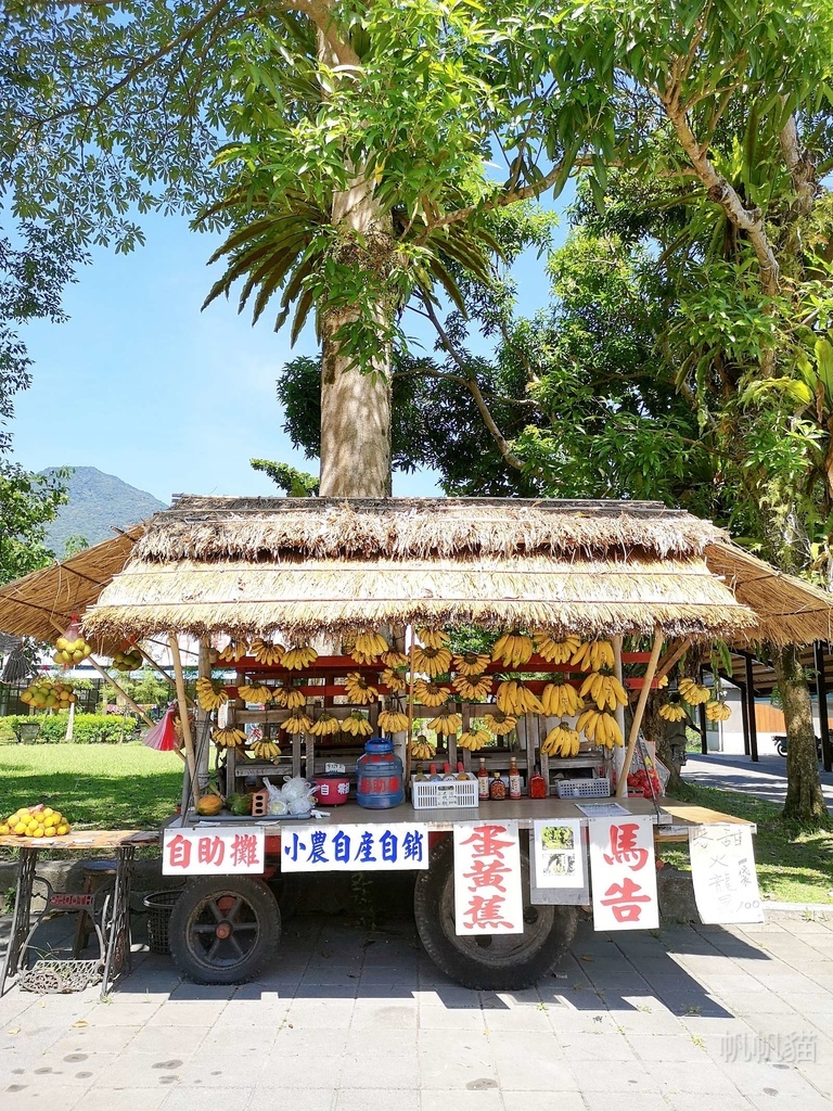 花蓮包車景點一日遊｜親不知天空步道、石梯坪海蝕平台、雲山水