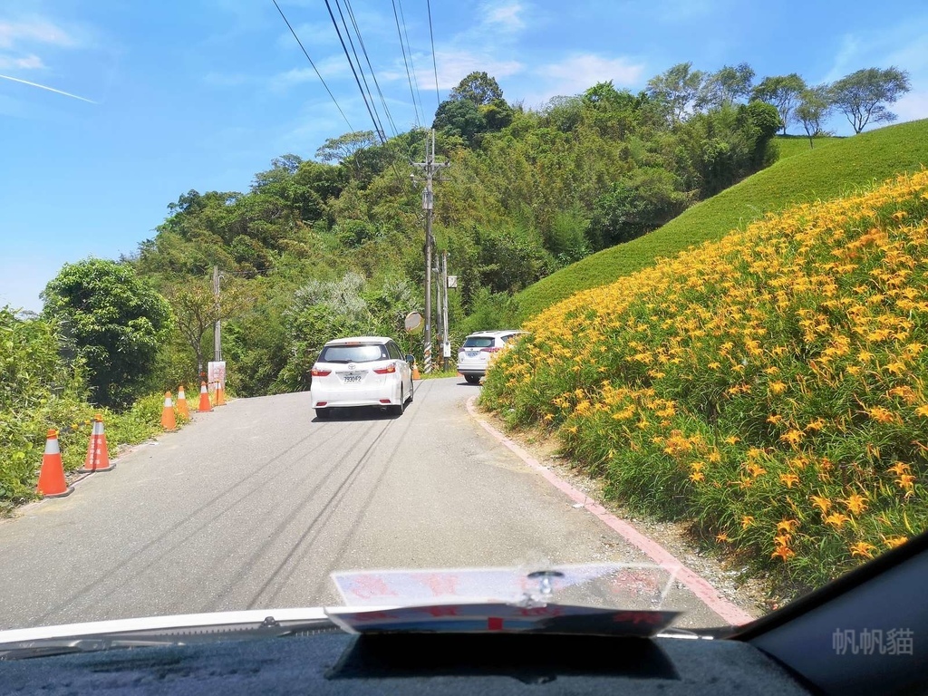 包車賞花蓮六十石山金針花心得｜花蓮金針花季包車一日遊這樣玩