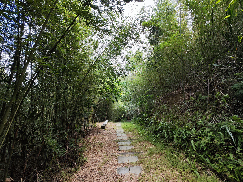 【苗栗 旅遊】苗栗獅潭鄉 彩繪藝術小鎮 品嘗仙草 吃手作甜點