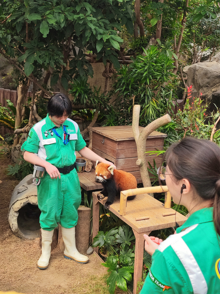 【香港景點】香港海洋公園 高空360度俯瞰樂園全貌 必玩的1