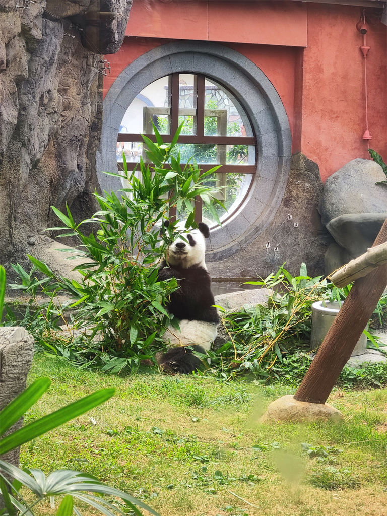 【香港景點】香港海洋公園 高空360度俯瞰樂園全貌 必玩的1