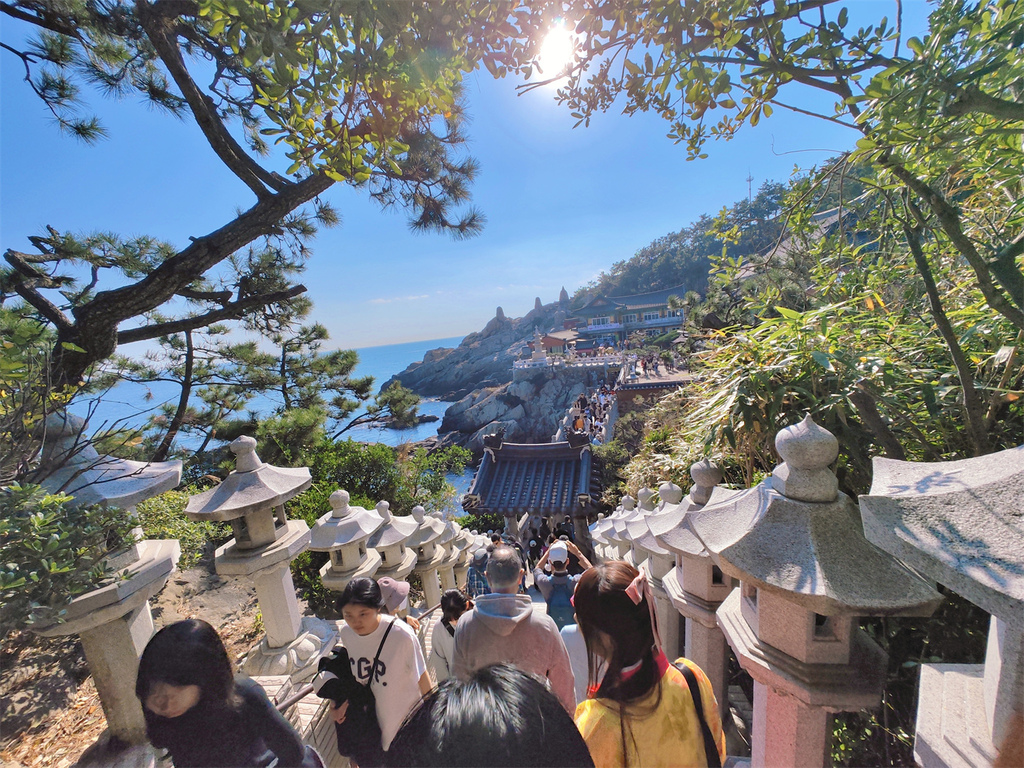 【韓國釜山 旅遊】釜山精華景點 | 海東龍宮寺、青沙浦天空步