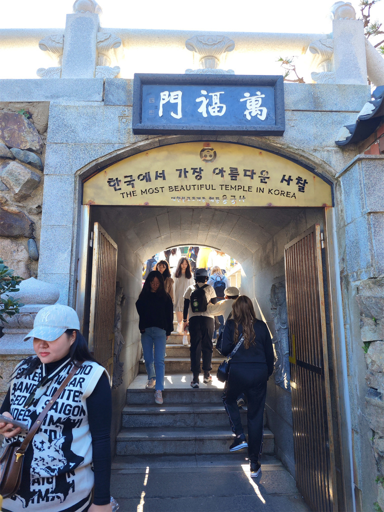 【韓國釜山 旅遊】釜山精華景點 | 海東龍宮寺、青沙浦天空步