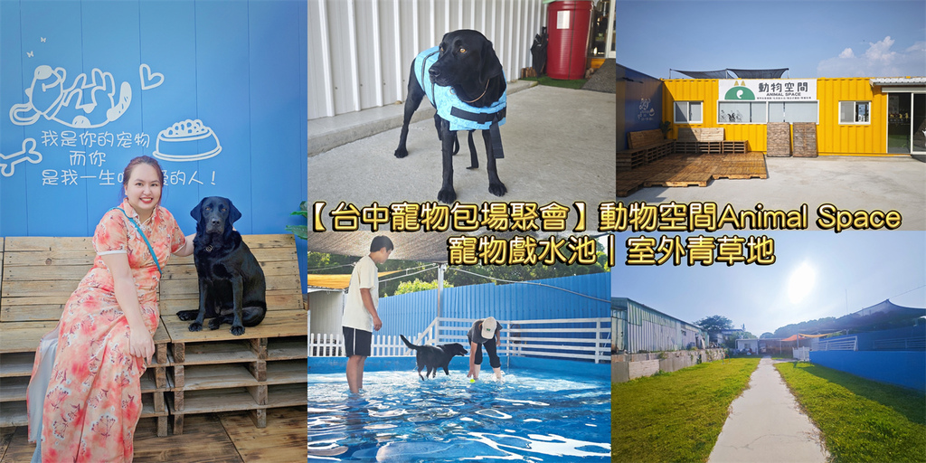 台中,南屯,台中景點,南屯景點,動物空間,寵物友善,毛孩戲水池,動物泳池