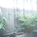 DSC01237.JPG