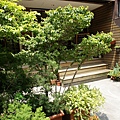 DSC01196.JPG