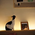 DSC01221.JPG