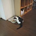 DSC01250.JPG