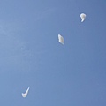 DSC00977