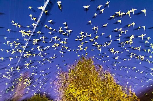 135937565.jpg 135937565.jpg