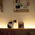 DSC01218.JPG
