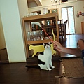 DSC01296g.JPG