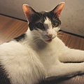 DSC01200.JPG