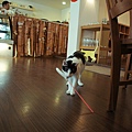 DSC01271a.JPG