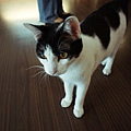 DSC01285d.JPG