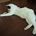 DSC01289e.JPG