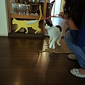 DSC01302j.JPG