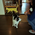 DSC01299h.JPG