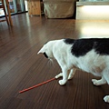 DSC01273.JPG