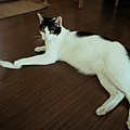 DSC01291f.JPG