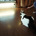 DSC01280c.JPG