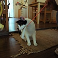 DSC01304k.JPG