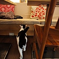 DSC01214.JPG