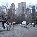 Dec.27_NEWYORK 017.jpg