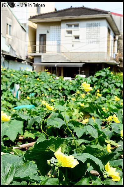 原臺南刑務所要道館-32