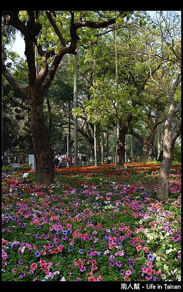 2013台南百花祭-10 (2)