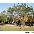 巴克禮公園