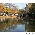 巴克禮公園