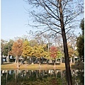 巴克禮公園