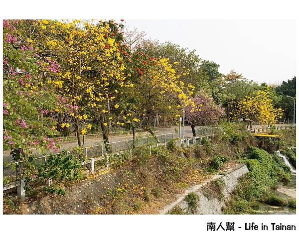 健康廣場&體育公園