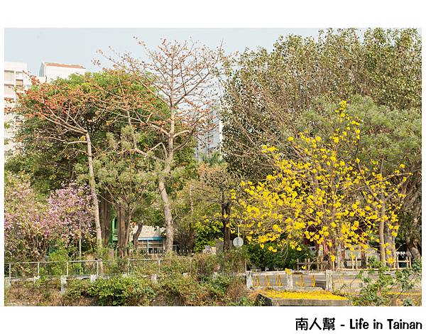 健康廣場&體育公園