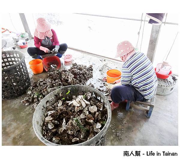 藍色公路之剖鮮蚵體驗(季節限定)