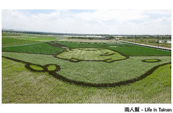 2016台南好米季 蛋黃哥來到柳營彩稻趣